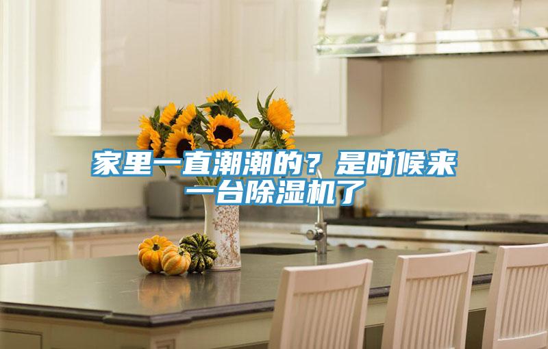家裏一直潮潮的？是時候來一台91看片网站了