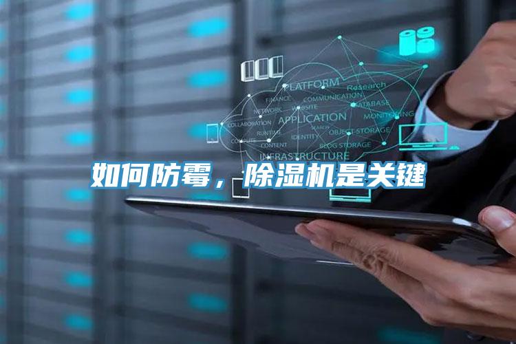 如何防黴，91看片网站是關鍵