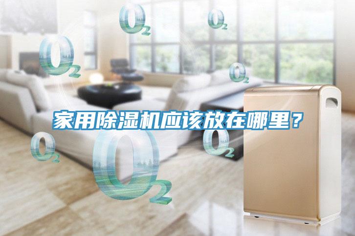 家用91看片网站應該放在哪裏？