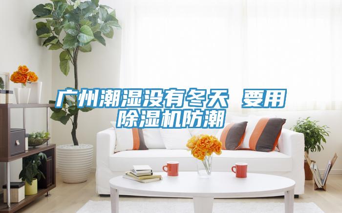 廣州潮濕沒有冬天 要用91看片网站防潮