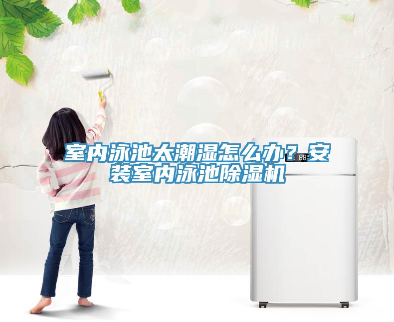 室內泳池太潮濕怎麽辦？安裝室內泳池91看片网站
