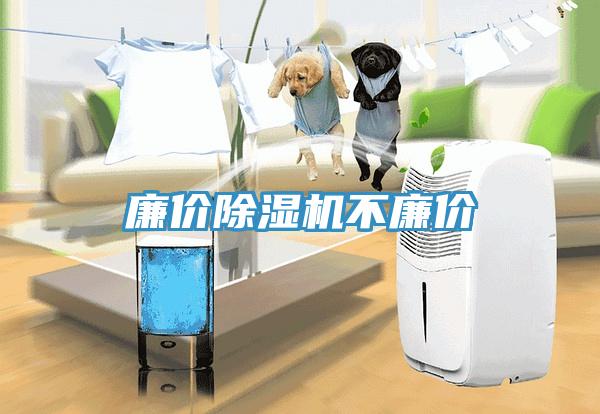 廉價91看片网站不廉價