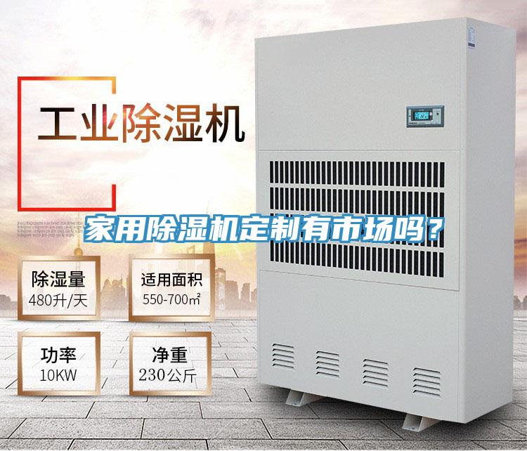 家用91看片网站定製有市場嗎？