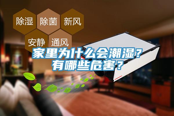 家裏為什麽會潮濕？有哪些危害？