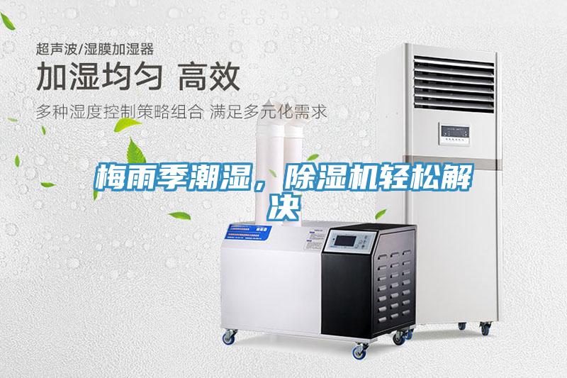 梅雨季潮濕，91看片网站輕鬆解決