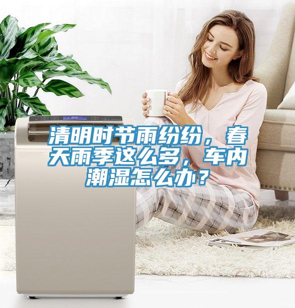 清明時節雨紛紛，春天雨季這麽多，車內潮濕怎麽辦？