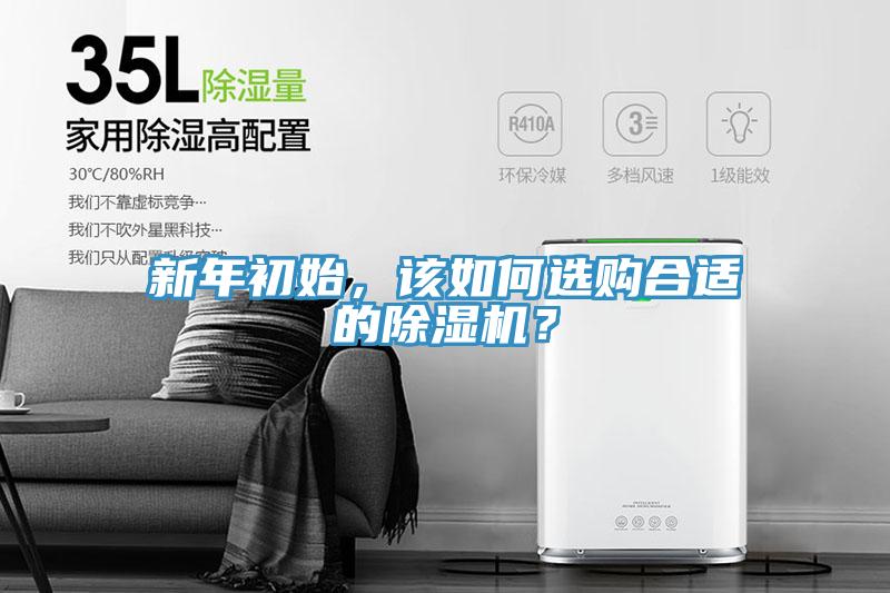 新年初始，該如何選購合適的91看片网站？