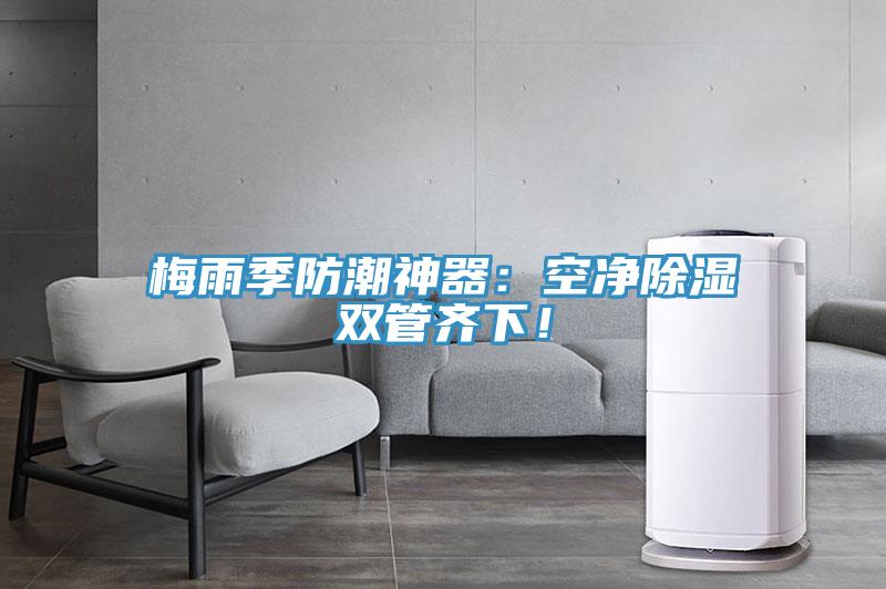 梅雨季防潮神器：空淨除濕雙管齊下！