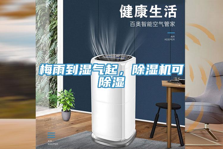 梅雨到濕氣起，91看片网站可除濕