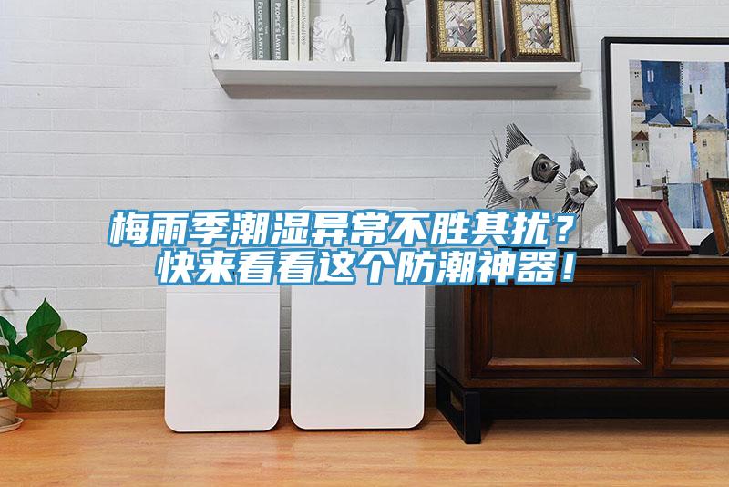 梅雨季潮濕異常不勝其擾？ 快來看看這個防潮神器！