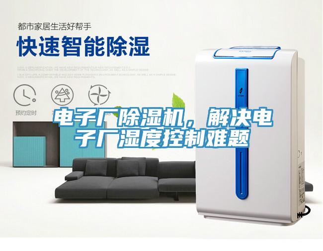 電子廠91看片网站，解決電子廠濕度控製難題