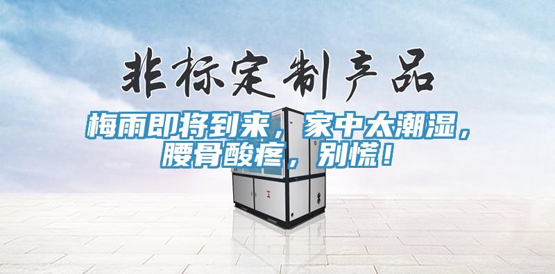 梅雨即將到來，家中太潮濕，腰骨酸疼，別慌！