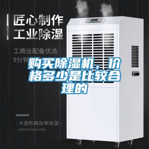 購買91看片网站，價格多少是比較合理的