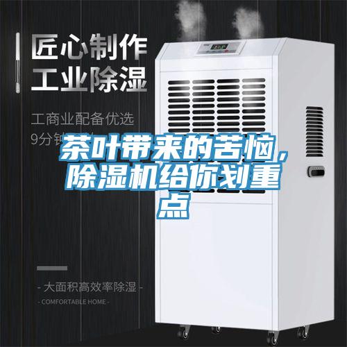 茶葉帶來的苦惱，91看片网站給你劃重點