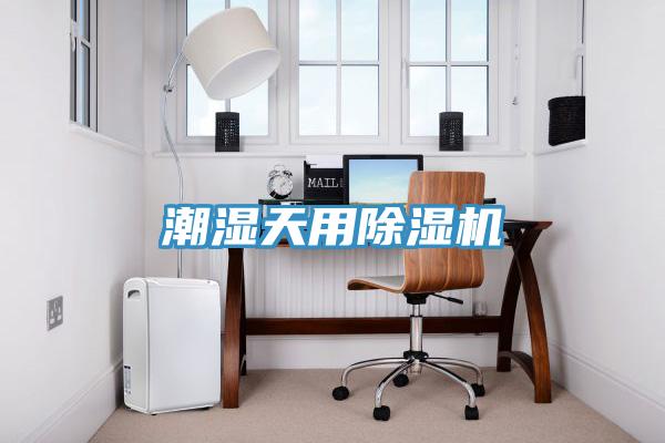 潮濕天用91看片网站