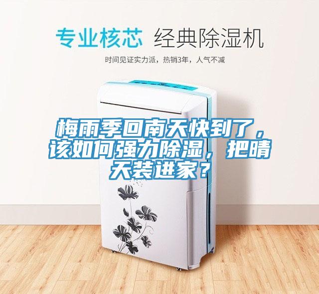 梅雨季回南天快到了，該如何強力除濕，把晴天裝進家？