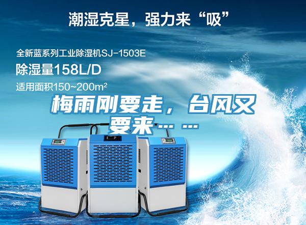 梅雨剛要走，台風又要來……