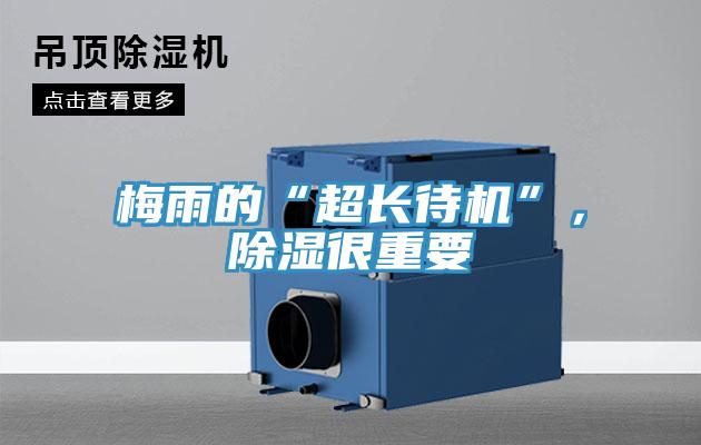 梅雨的“超長待機”，除濕很重要