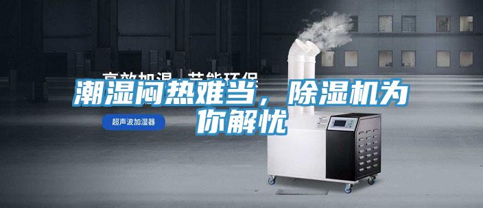潮濕悶熱難當，91看片网站為你解憂