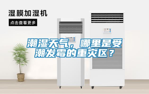 潮濕天氣，哪裏是受潮發黴的重災區？