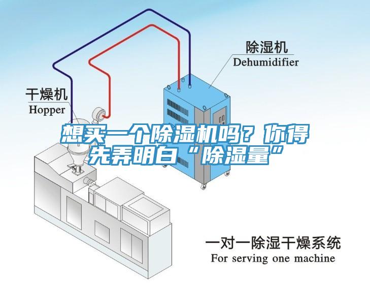 想買一個91看片网站嗎？你得先弄明白“除濕量”