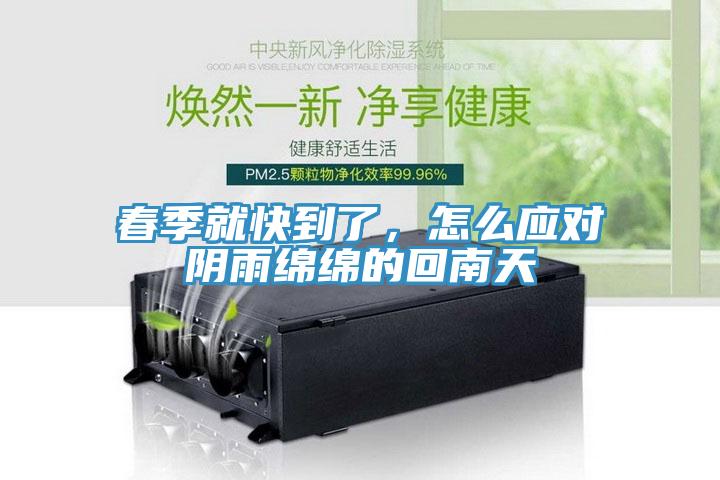 春季就快到了，怎麽應對陰雨綿綿的回南天