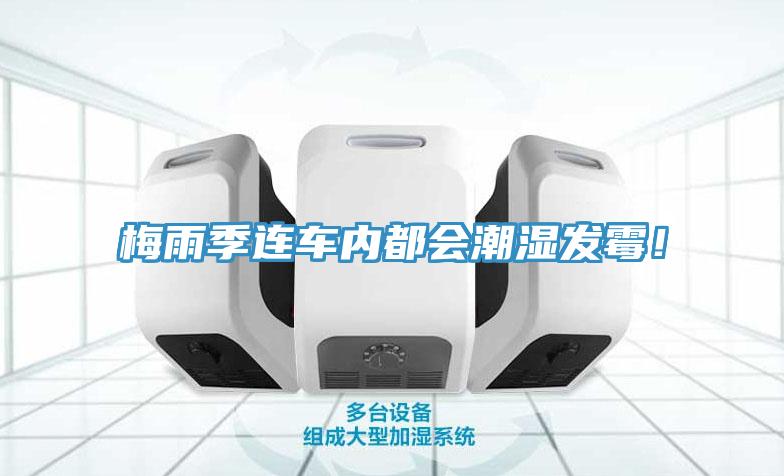 梅雨季連車內都會潮濕發黴！