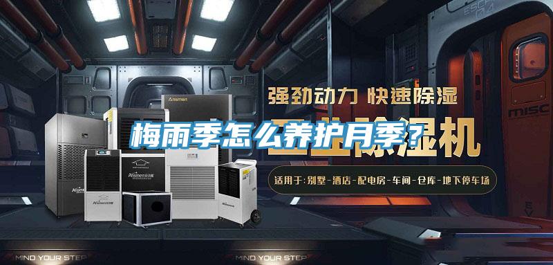 梅雨季怎麽養護月季？