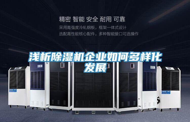 淺析91看片网站企業如何多樣化發展