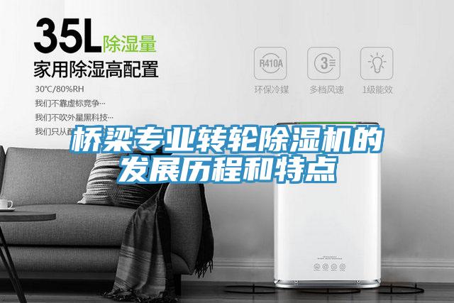 橋梁專業轉輪91看片网站的發展曆程和特點