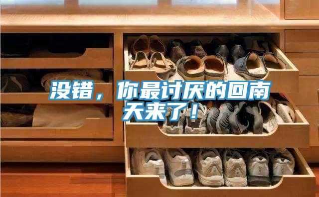 沒錯，你最討厭的回南天來了！