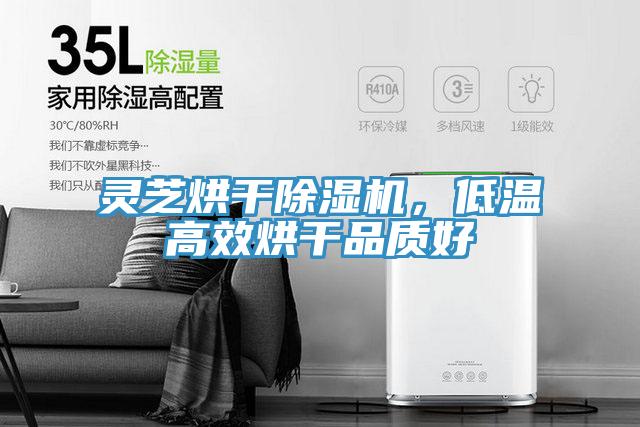 靈芝烘幹91看片网站，低溫高效烘幹品質好