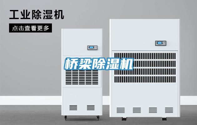 橋梁91看片网站
