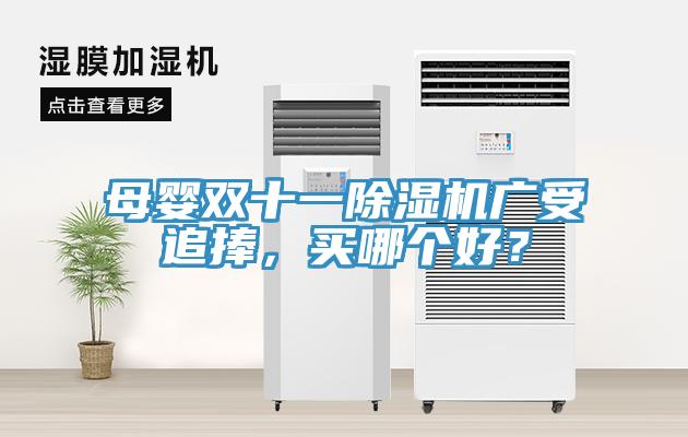 母嬰雙十一91看片网站廣受追捧，買哪個好？