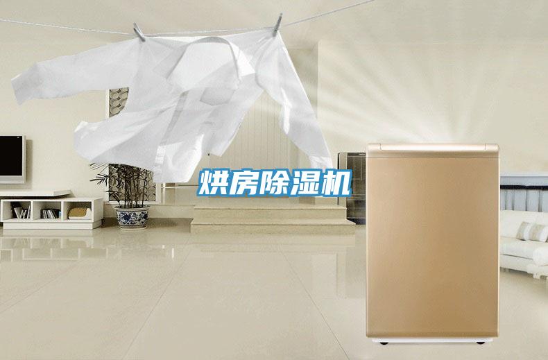 烘房91看片网站