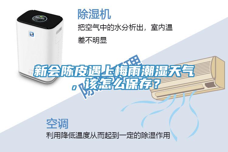 新會陳皮遇上梅雨潮濕天氣，該怎麽保存？