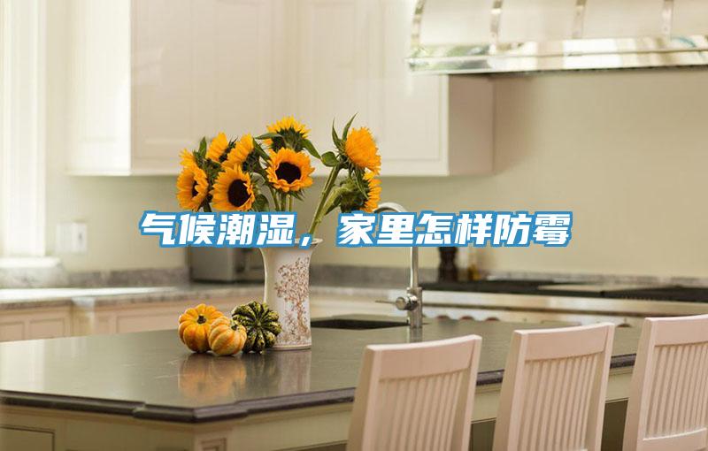 氣候潮濕，家裏怎樣防黴