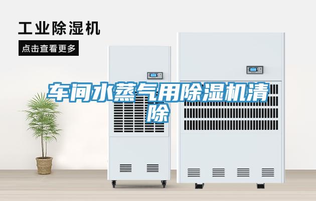 車間水蒸氣用91看片网站清除