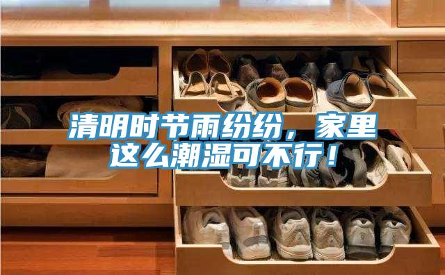 清明時節雨紛紛，家裏這麽潮濕可不行！