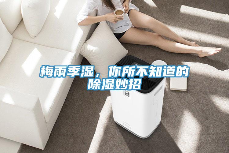 梅雨季濕，你所不知道的除濕妙招