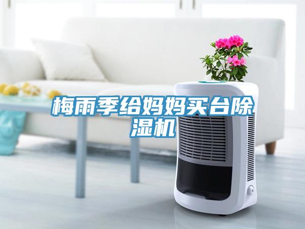 梅雨季給媽媽買台91看片网站