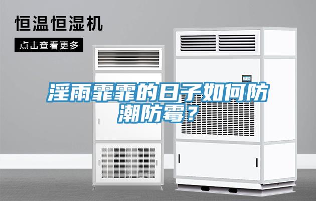 淫雨霏霏的日子如何防潮防黴？