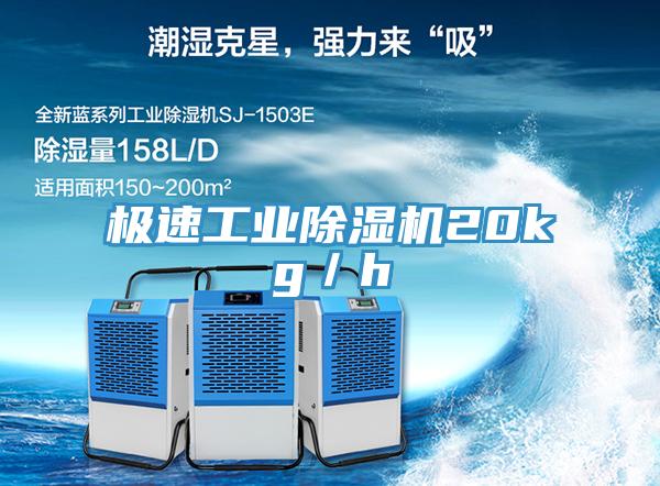極速工業91看片网站20kg／h