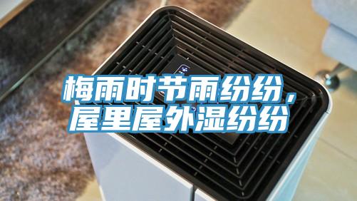 梅雨時節雨紛紛，屋裏屋外濕紛紛