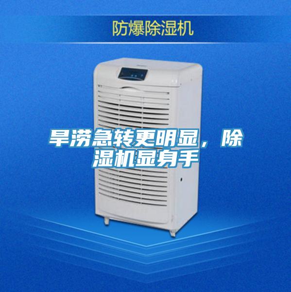 旱澇急轉更明顯，91看片网站顯身手