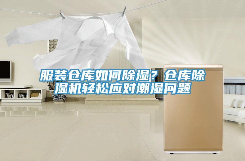 服裝倉庫如何除濕？倉庫91看片网站輕鬆應對潮濕問題