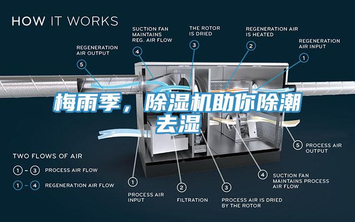 梅雨季，91看片网站助你除潮去濕