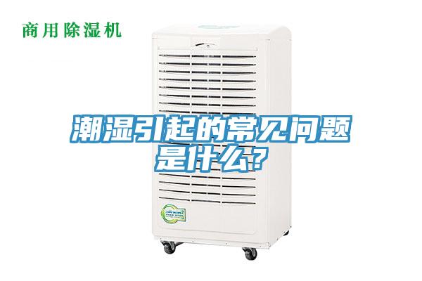 潮濕引起的常見問題是什麽？