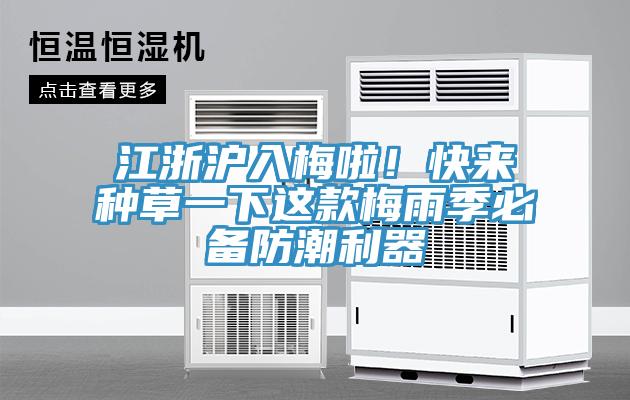 江浙滬入梅啦！快來種草一下這款梅雨季必備防潮利器