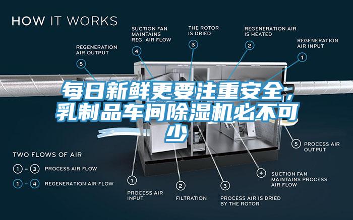 每日新鮮更要注重安全，乳製品車間91看片网站必不可少